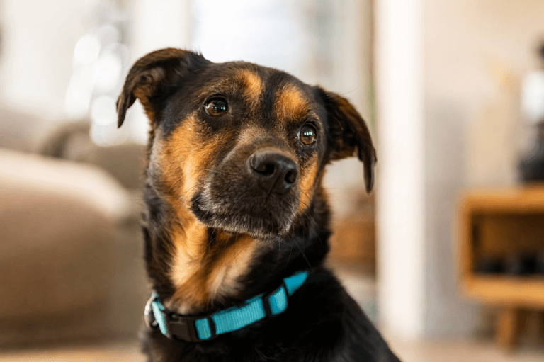 ChatGPT Image 7 juin 2026, 14_47_10